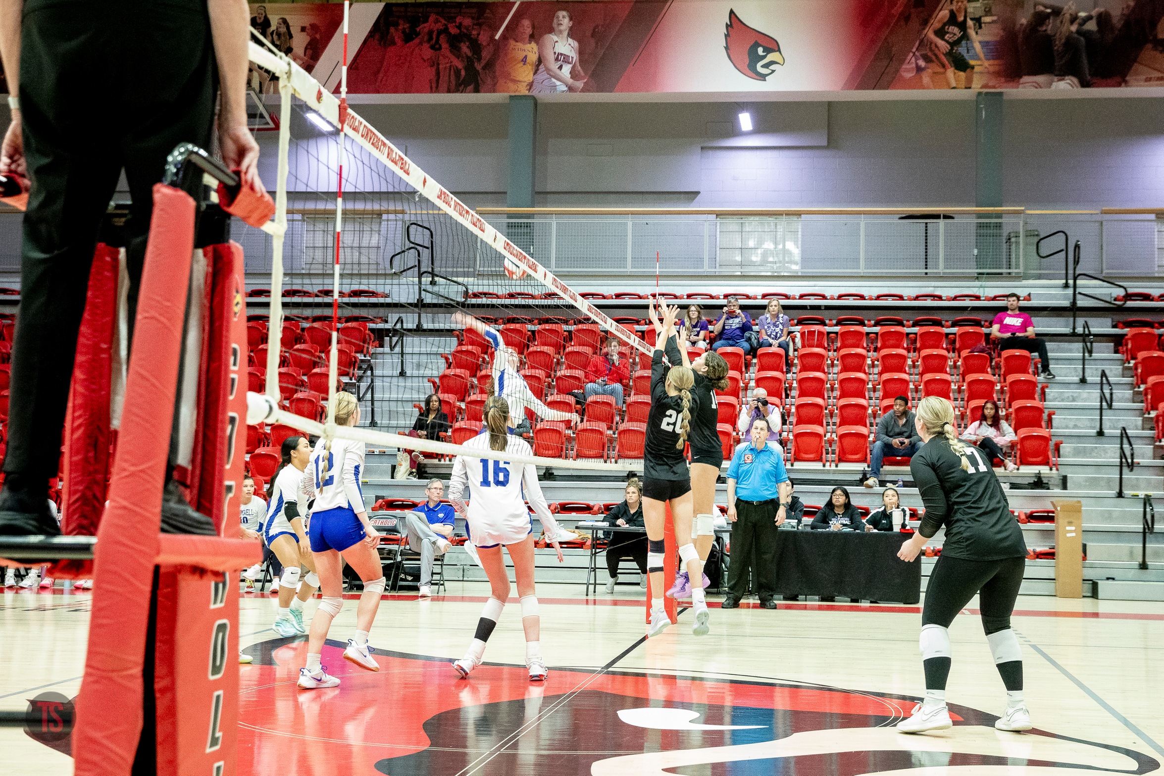 2024 Volleyball Championship